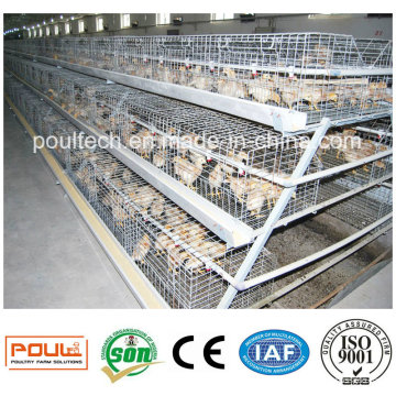 Best Price Good Service Pullet Chicken Cage